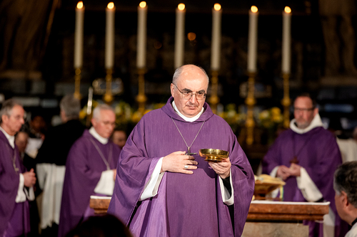 Stephansdom: Österreich nahm Abschied von Papst Franziskus / Erzdiözese Wien/ Schönlaub, Stephan Schönlaub Stephansdom: Österreich nahm Abschied von Papst Franziskus