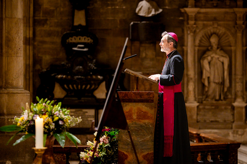 Der Sonnengesang – Lebensmelodie des hl. Franz von Assisi